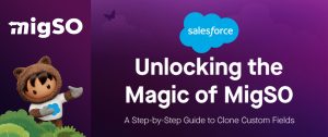 A Step-by-Step Guide to Clone Multiple Custom Fields in Salesforce