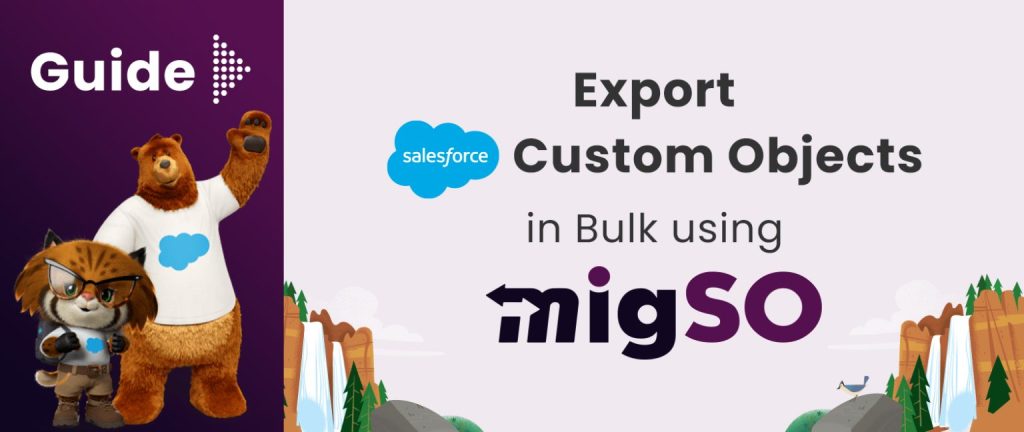 Salesforce Object Guide Guide to Export Salesforce Custom Objects By Using migSO