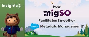 Salesforce Metadata Management