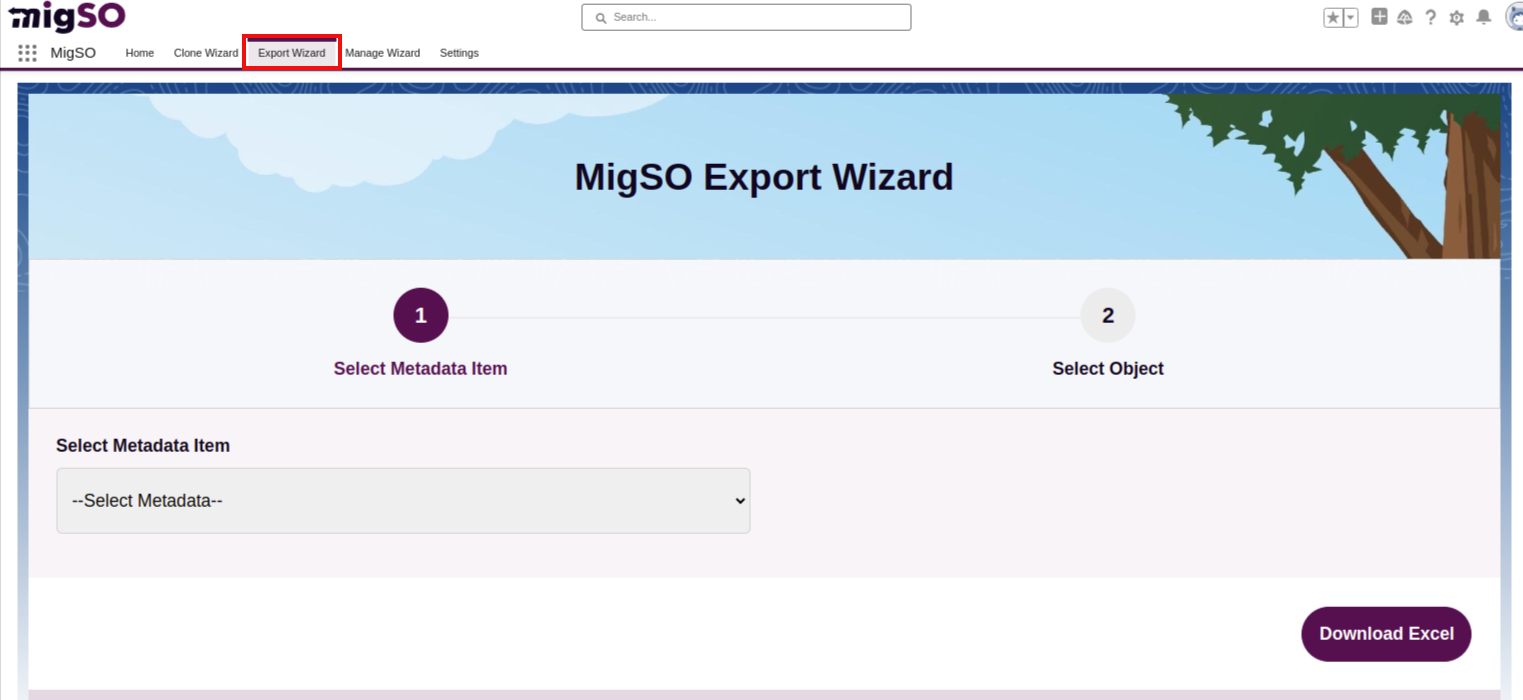 Salesforce Export Objects