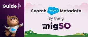 Search Metadata in Salesforce Using migSO