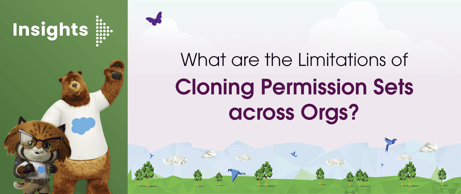 What are the Limitations of Cloning Permission Sets across Orgs?
