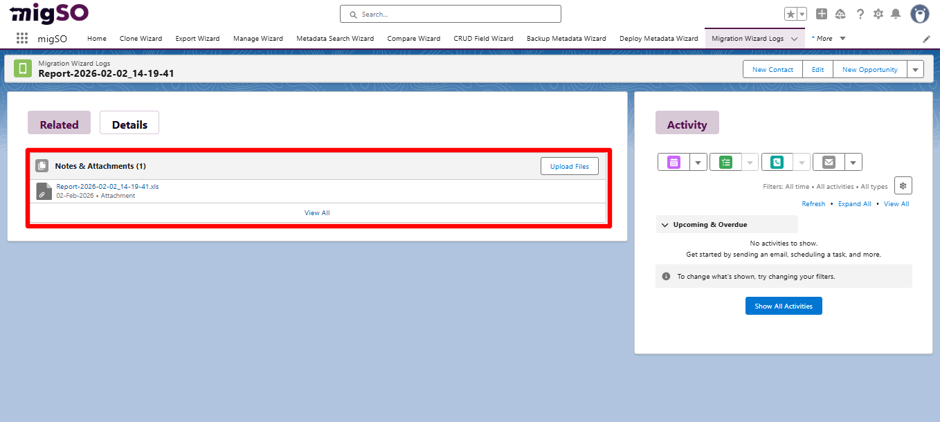 Salesforce Clone Report