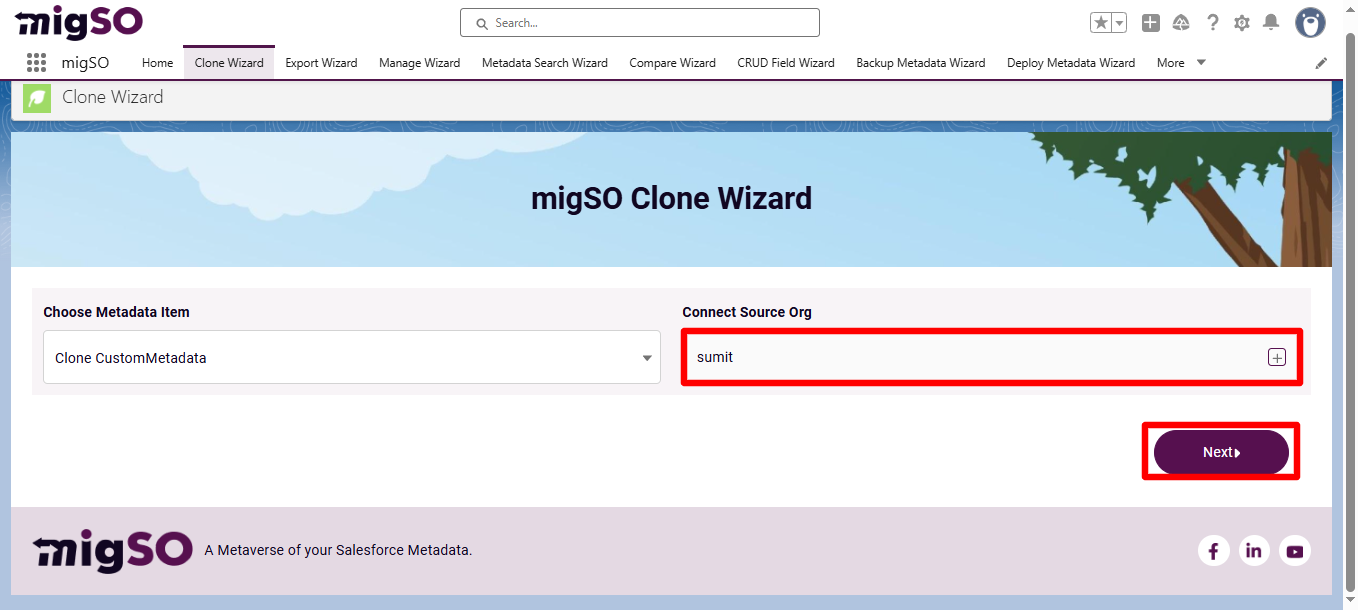 Salesforce clone Custom Metadata