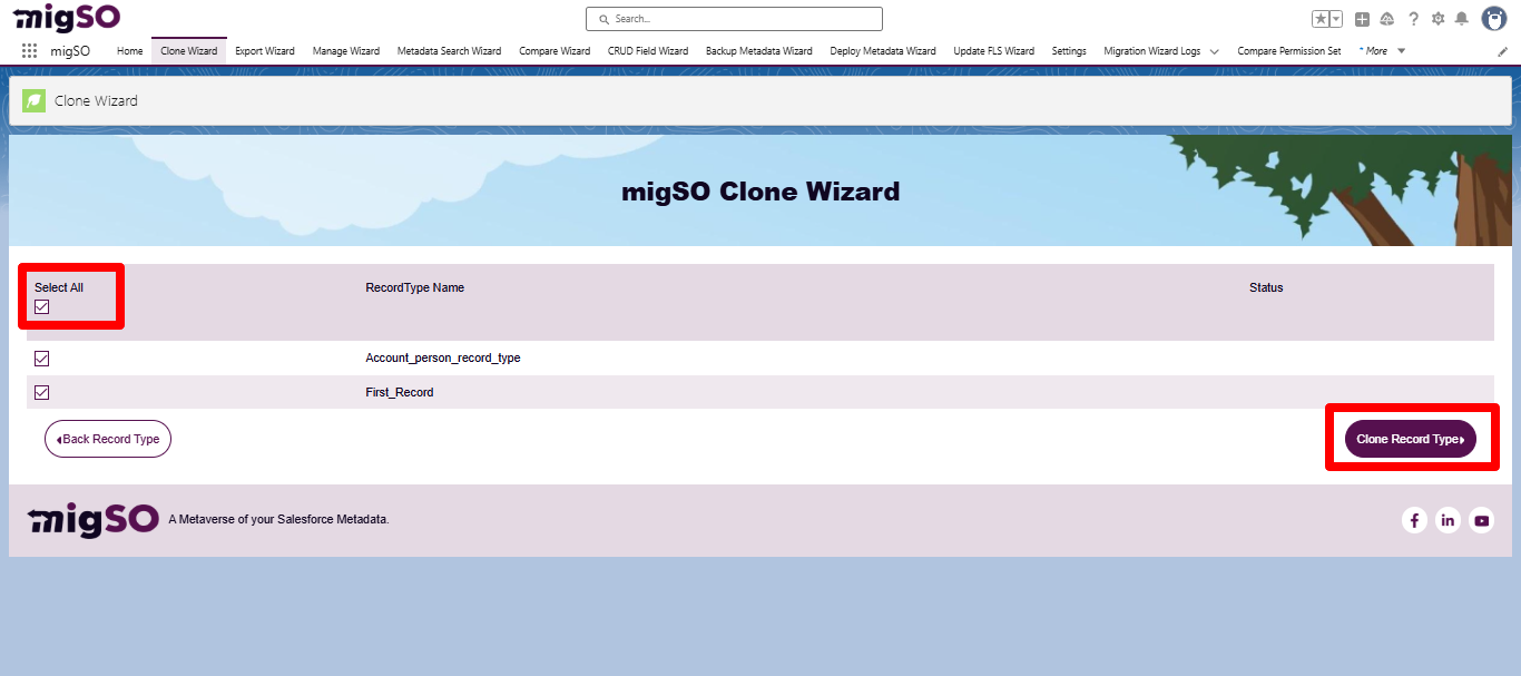 Clone Record Type