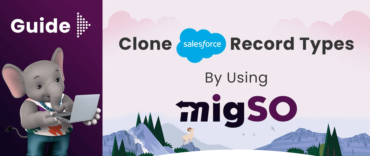 Guide to Clone Salesforce Record Types by Using migSO