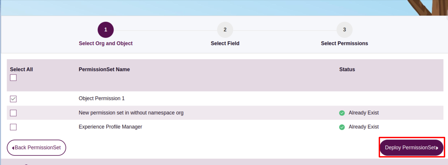 Clone Permission Set
