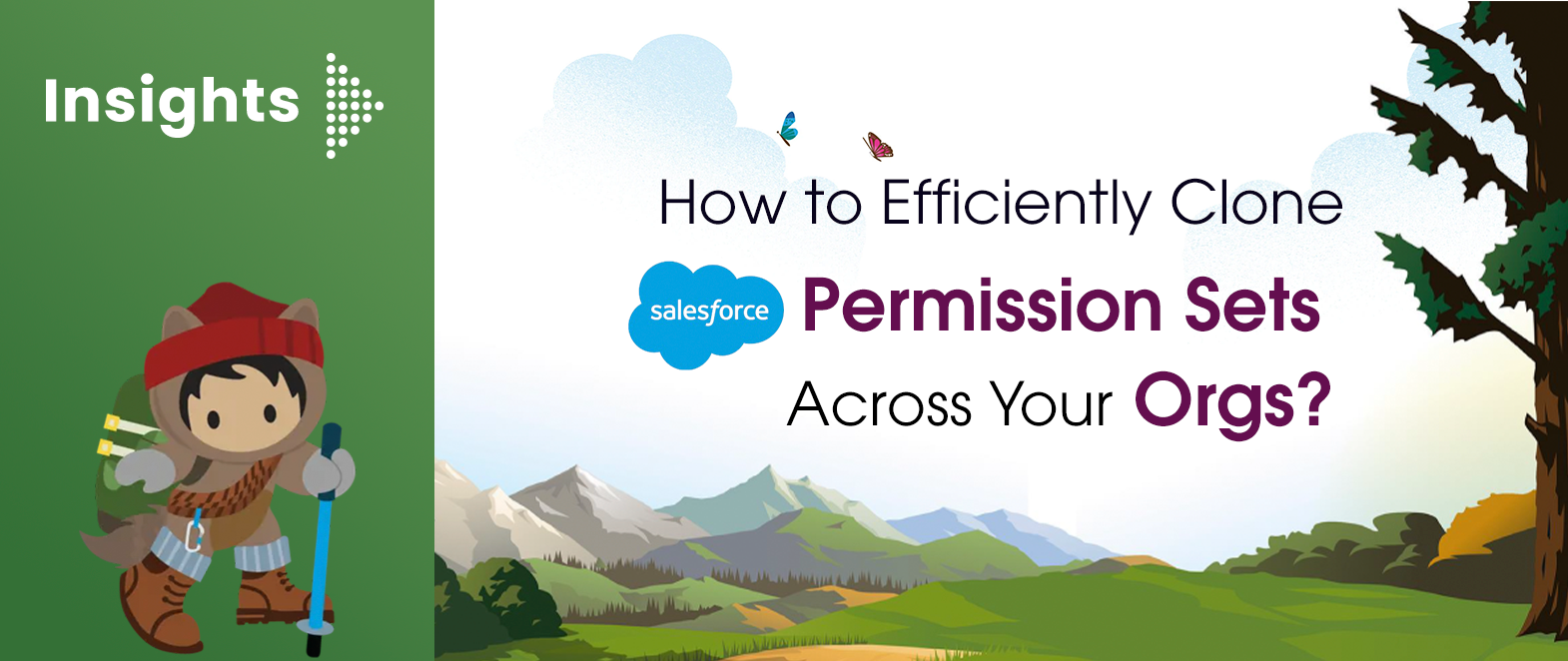 How to Efficiently Clone Salesforce Permission Sets Across Your Orgs?