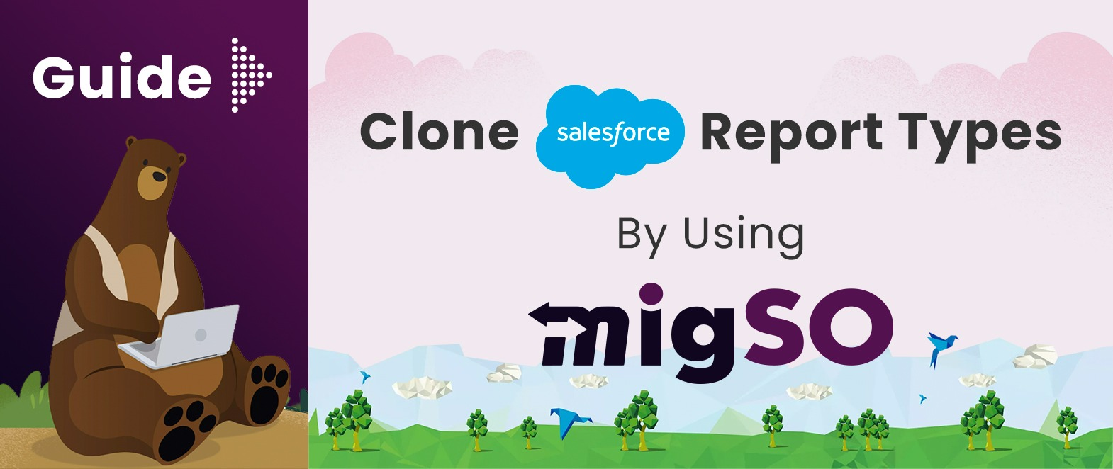 Guide to Clone Salesforce Report Types by Using migSO