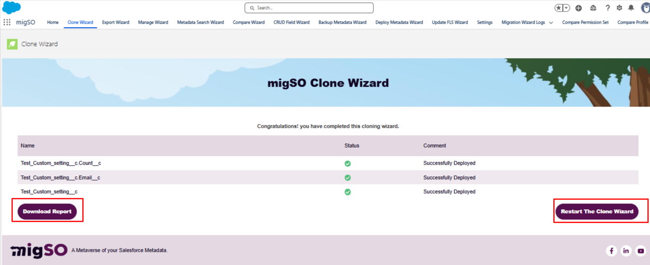 Clone Custom Setting