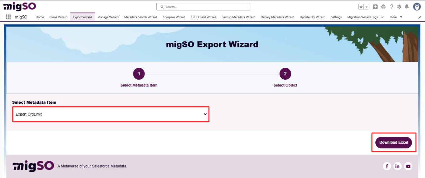 Export Salesforce Org Limit