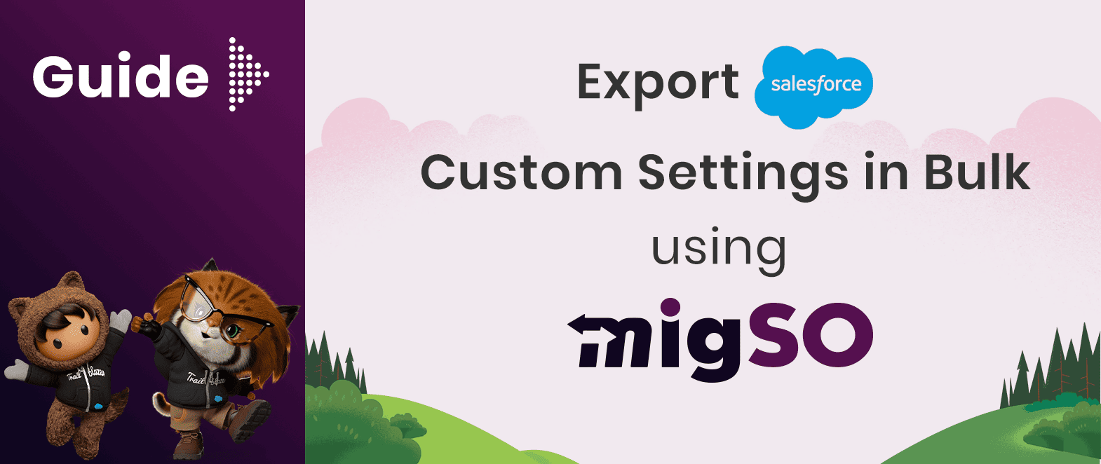 Guide to Export Salesforce Custom Settings in Bulk using migSO