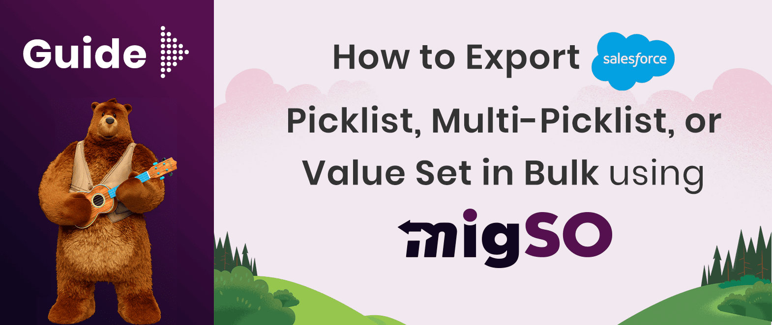 How to Export Salesforce Picklist, Multi-Picklist, or Value Set in Bulk using migSO