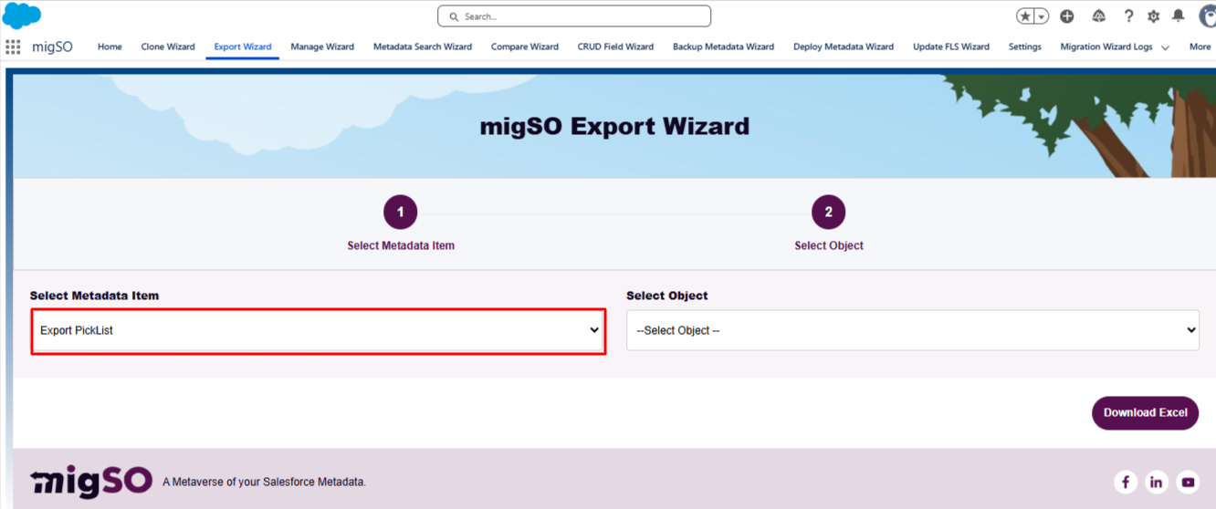 Export Salesforce Picklist