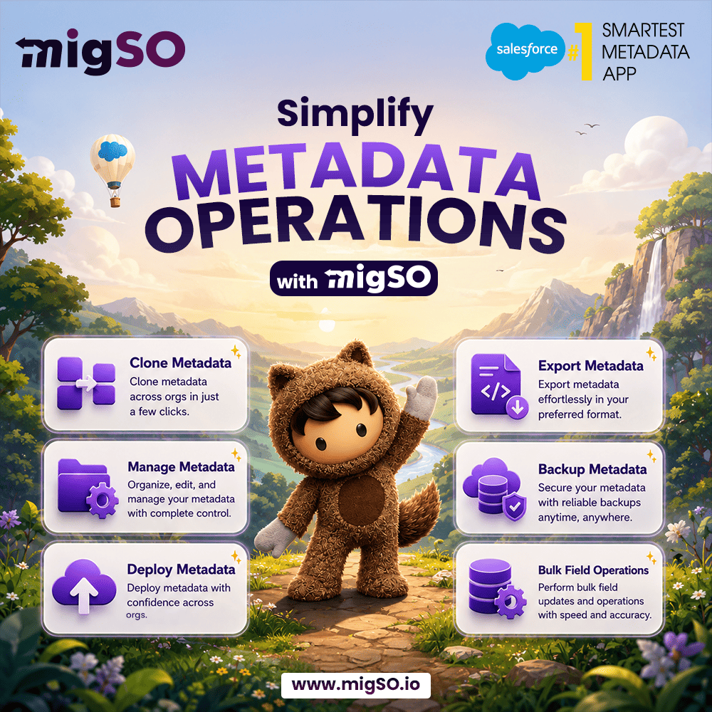 Migso Metadata Operations