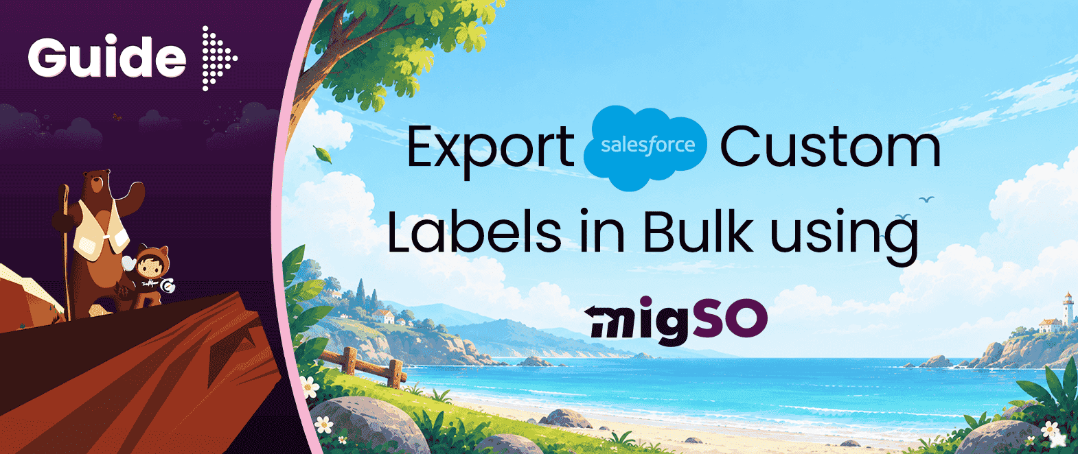Guide to Export Salesforce Custom Labels in Bulk using migSO