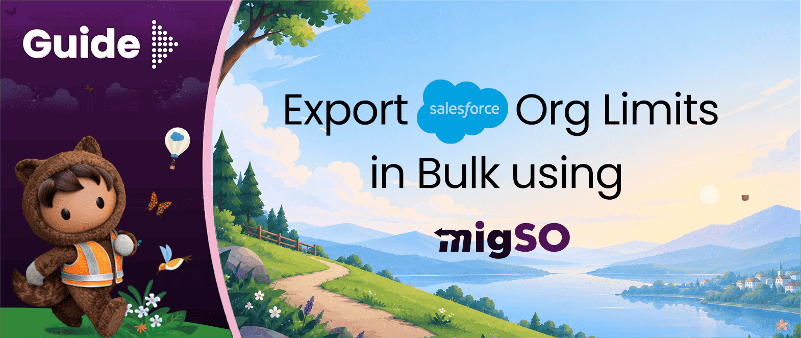 Guide to Export Salesforce Org Limits in Bulk using migSO