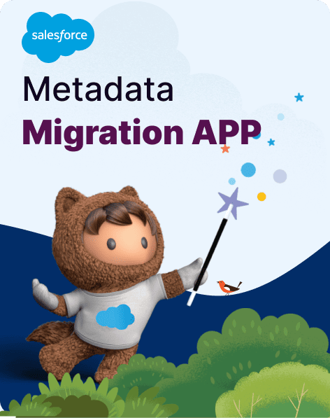 salesforce-metadata-app